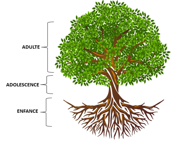 Arbre de la vie