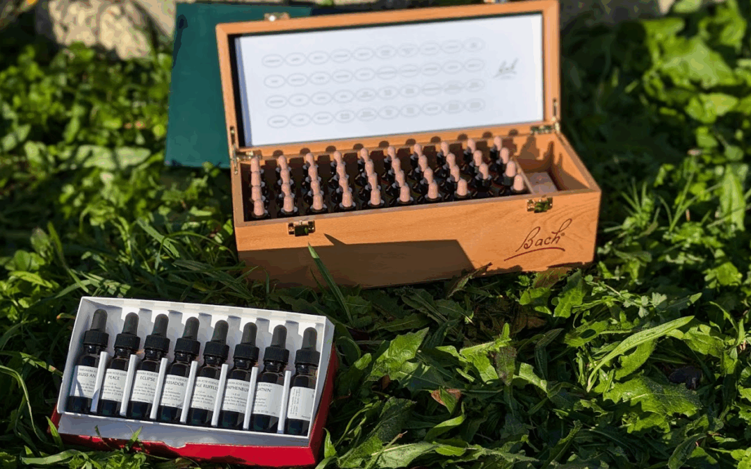 🌿 Soulager les douleurs psychosomatiques grâce à la kinésiologie – Royan (17)